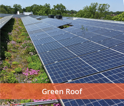 Green Solar Installation