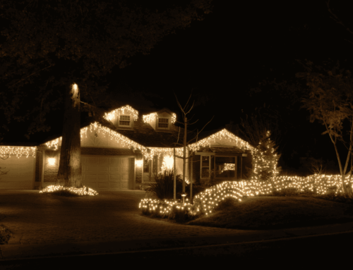 Brighten Your Holidays with Solar Lights