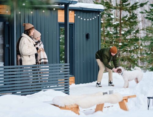 Sustainable Winter Habits: 7 Powerful Ways to Save Energy and Live Greener