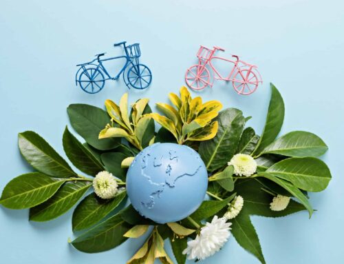 5 Eco-Friendly Hacks for Families: Easy DC Living Tips