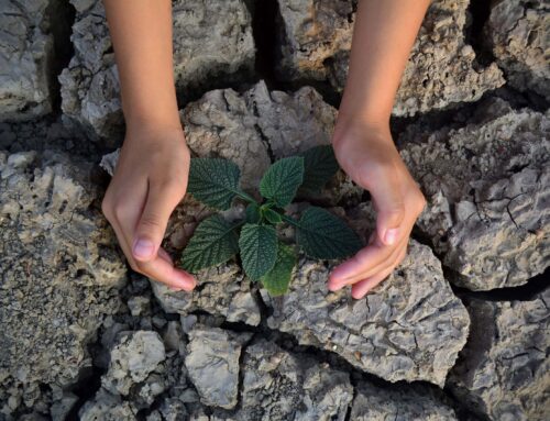 Worst Climate Changes Highlight Essential Shift to Solar Clean Energy Infrastructure